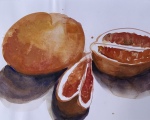 Orange-Seasonstudy-_watercolor-on-paper-copy