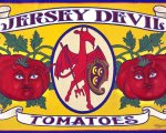 JerseyDevilTomatoes2_forsite